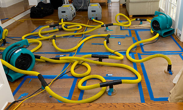 Professional Structural Drying And Dehumidification technician working in Purcellville, VA